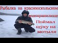 РЫБАЛКА НА КРАСНООСКОЛЬСКОМ ВОДОХРАНИЛИЩЕ