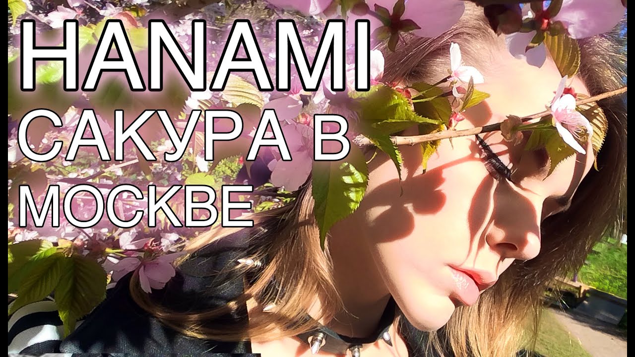 Сакура в Москве! Ханами. Японский сад в Ботаническом саду [VLOG]