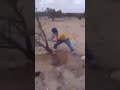 نحب نقلع 