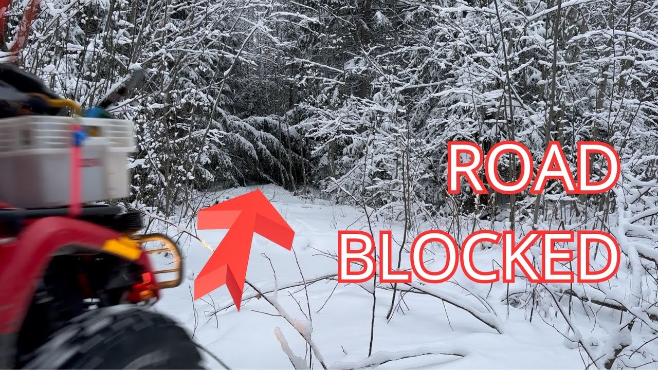 Winter Forestry Ride | Dead Battery, Storm Damage & Clearing the Way