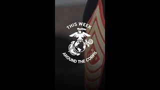 Around the Corps  August 11, 2023