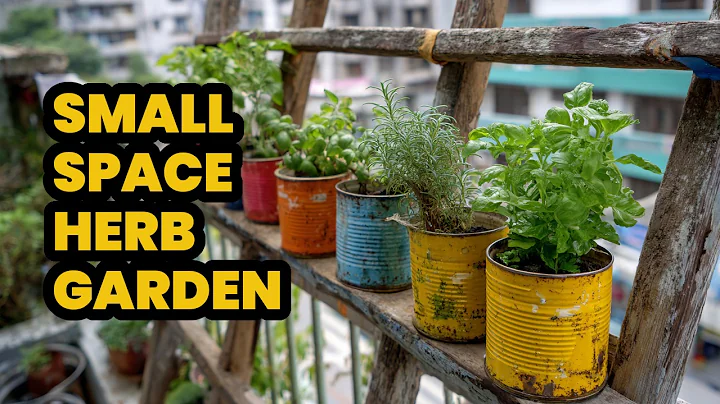 🪴 Small Space Herb Garden with Upcycled Containers