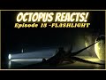 Octopus Reacts to Flashlight - Episode 15