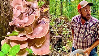 The black staining polypore! (I thought it was a Berkeley!