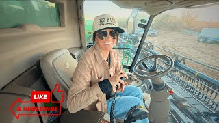 First Day Of Central Texas Milo Harvest