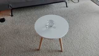 Glass Monkey Spinning On My Table HELP!