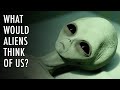 Exploring the Possibility of Alien Discovery