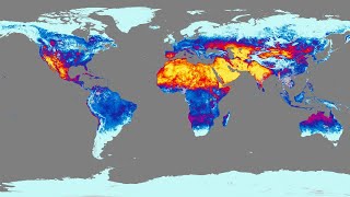 The Mean, the Extreme and the Connection Between Controversial Cloud Feedback and Future Heat Stress