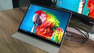 10.5-Inch Portable Monitor: Superior Visuals and Versatile Connectivity