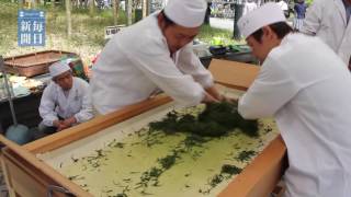 所沢の新茶まつり