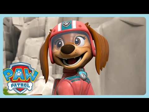 PAW <strong>Patrol</strong> - 큰 공 | WildBrain 한국어 | 어린이 만화