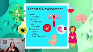 Prenatal Growth: Intro Psychology, Development #2