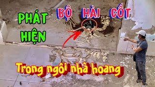 PHÁT HIỆN BỘ HÀI CỐT TRONG NGÔI NHÀ HOANG RÙNG RỢN / NẮNG TÂY NINH