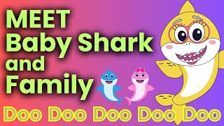 Meet Baby Shark Family And Sing Baby Shark Doo Doo Doo Doo Doo Doo