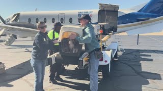Akron shelter helping displaced and homeless pets from Hurricane Helene and Hurricane Milton