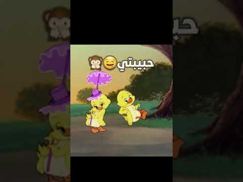 فطومة ايلافيو احبك بصوت بطوط بطوط حالات وتس اب