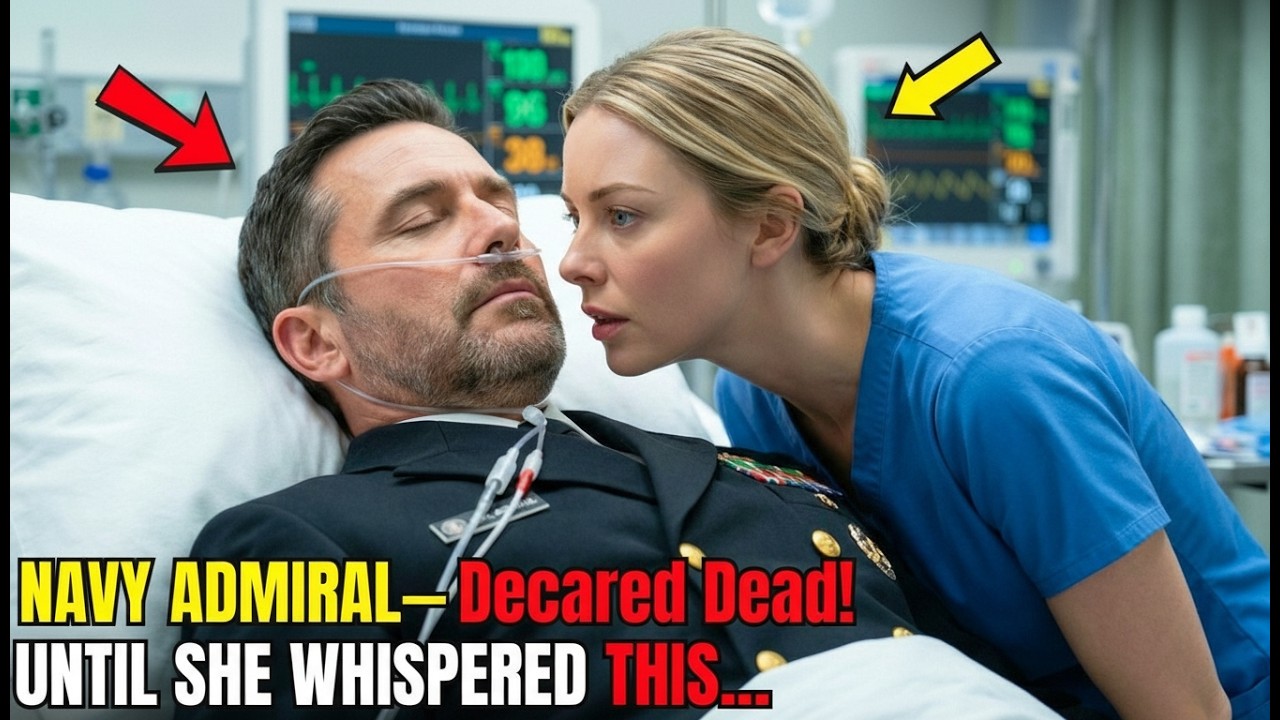 After the Crash, the SEAL Admiral Pretended to Be Lost — Until She Noticed the Signs