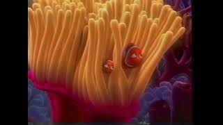 Finding Nemo First Day Of School