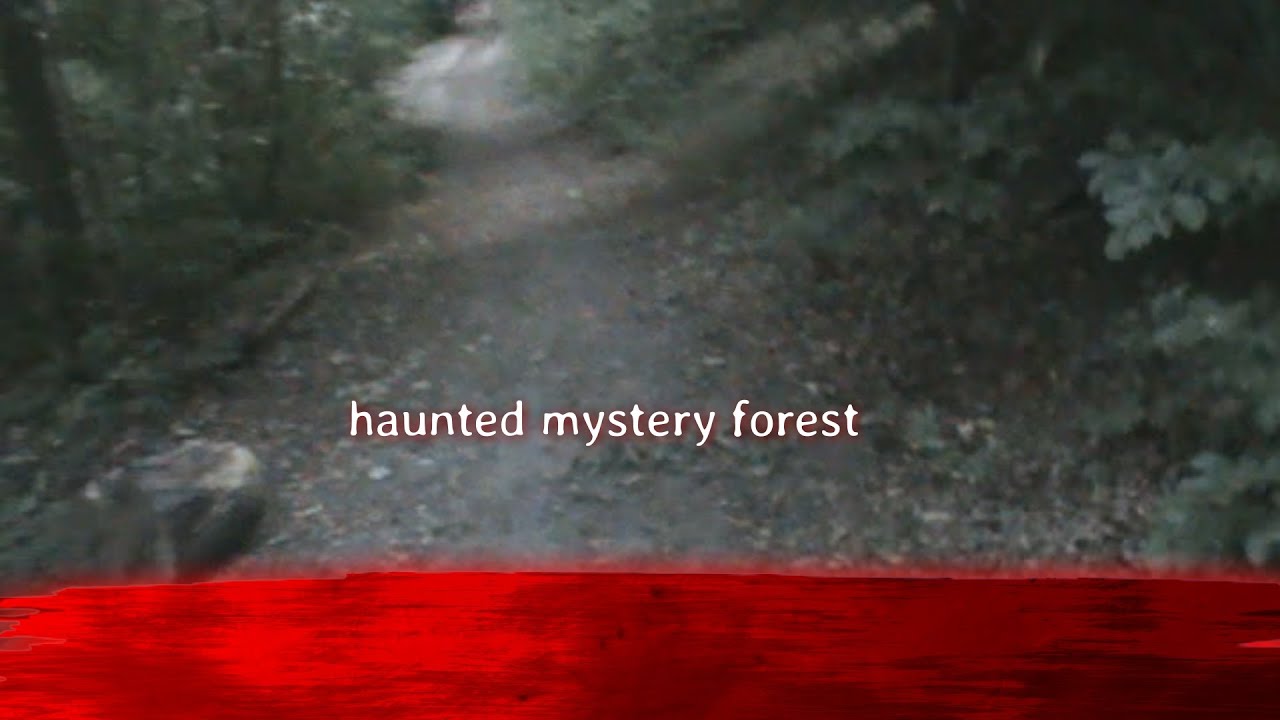HAUNTED MYSTERY FOREST(Production Film paranormal , et angoissant) partie 1.......