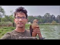 Rescuing a lesser whistling duck from a poacher's bird trap