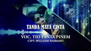 TIO FANTA PINEM - TANDA MATA CINTA (Official Music Video)