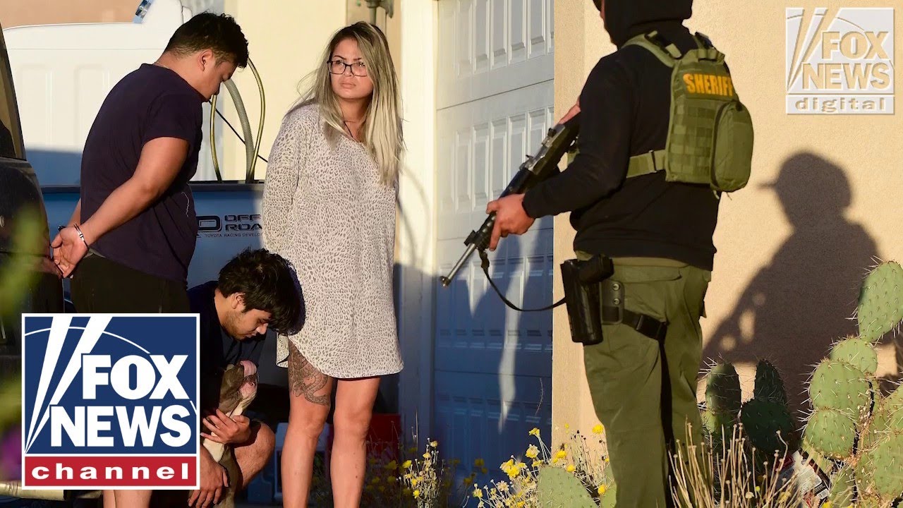 The illegal pot grows taking over the largest county in the nation | Digital Original