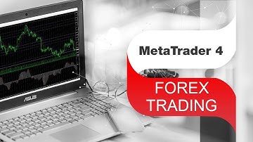 How to trade on Forex on your own? MetaTrader 4 for beginners