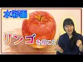 【水彩講座】リンゴを描く 【初心者にも分かりやすく解説】