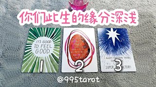 你們此生的緣分深淺前世今生 曖昧愛情戀愛感情塔羅占卜