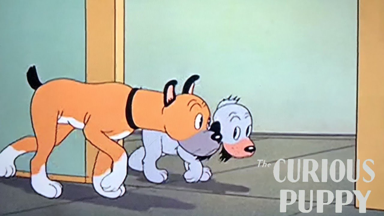 The Curious Puppy 1939 Warner Bros Merrie Melodies Cartoon Short Film
