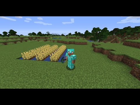 Video: How To Grow Wheat In Minecraft