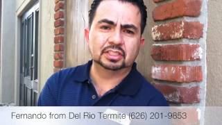 Buying a Pasadena Californha Home?  Learn how to read and understand the termite report.