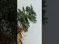 21 जनवरी 2026