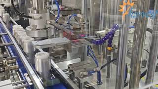 Celebrity Fully Auto Suction Cap Press + Single Head Screw Capper - Complete Bottle Sealing Line Net Worth