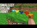 HOW to SPAWN SMALLEST GOLEM ARMY in Minecraft ??? SMALLEST ARMY