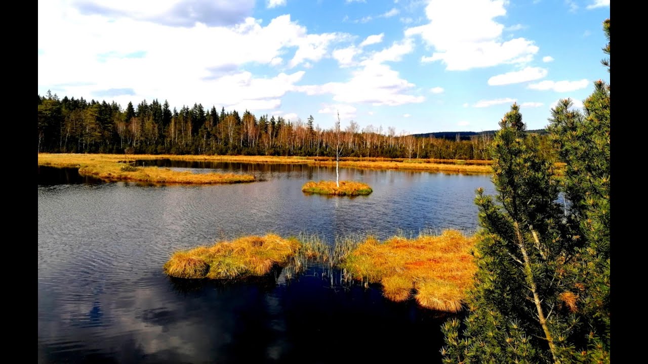 ŠUMAVA 2025 Borová Lada, Kvilda, Bučina, Knížecí Pláně