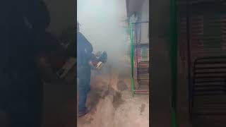 fogging nyamuk