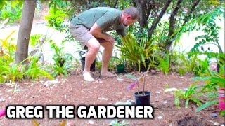 HOW TO POSITION POT PLANTS IN YOUR GARDEN - GregTheGardener