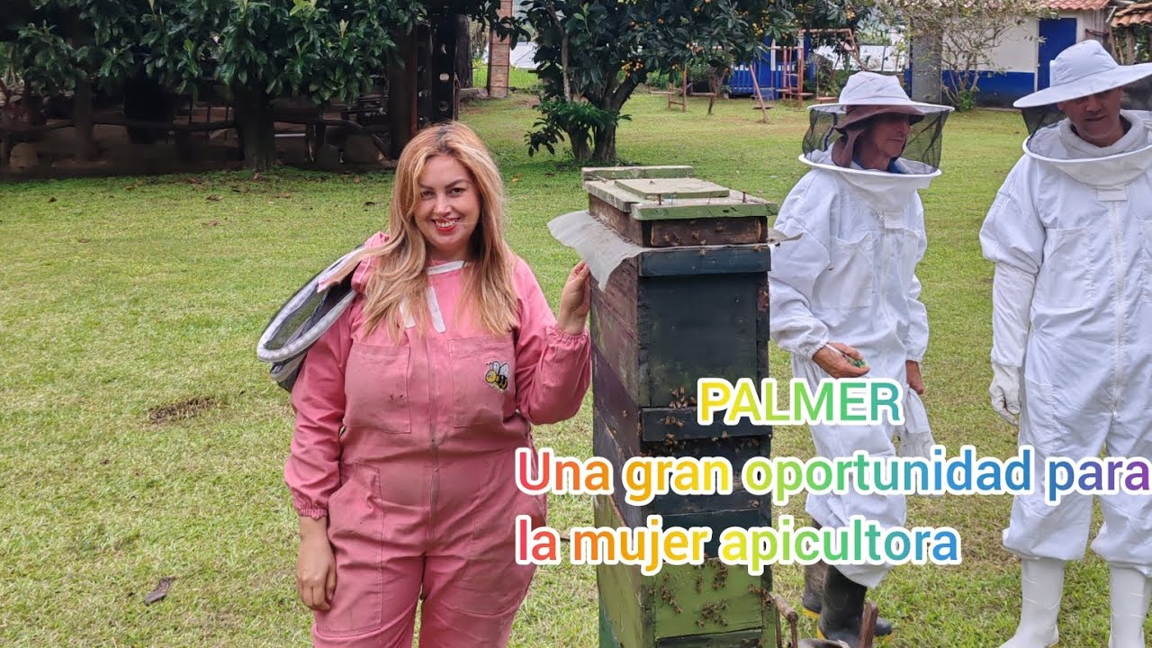 PALMER VERSIÓN SAN ANDRÉS DESDE EL PRINCIPIO (PARTE 1) 