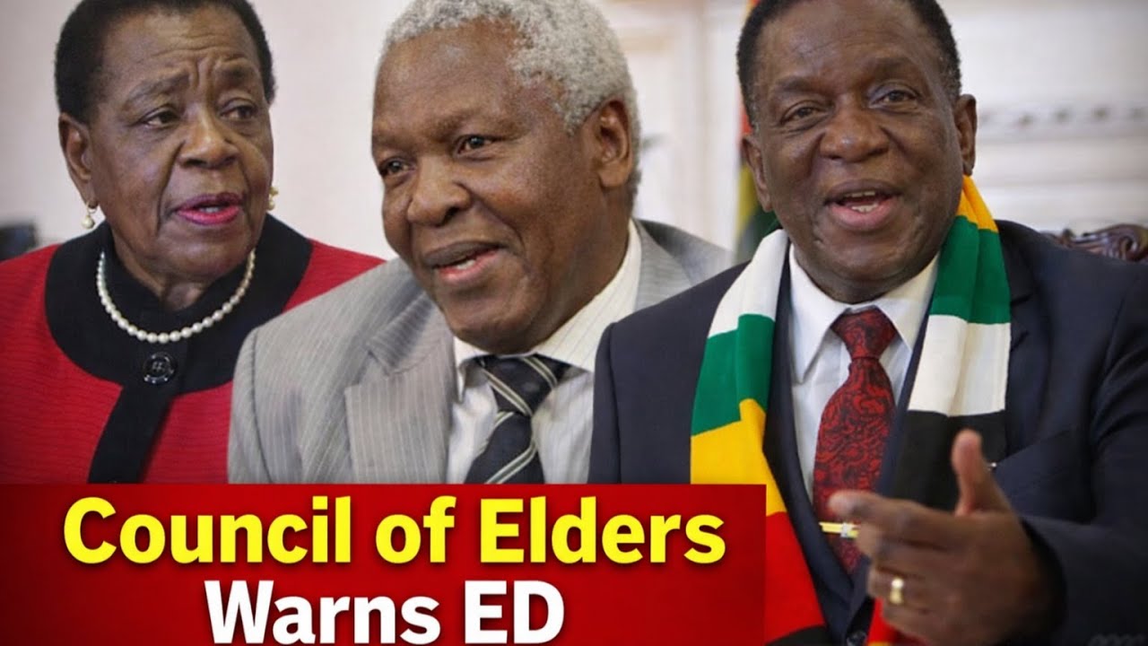 Coup Imminent in Zimbabwe? ZANU PF Council of Elders Warns ED Over Constitution Amendment
