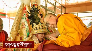 སྒྲོལ་དཀར་ཚེ་དབང་དང་བརྟན་བཞུགས་བསྟར་འབུལ།