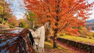 October Morning 🍁 | Autumn Good Energy Mix to Wake Up Fresh & Positive | Indie/Pop/Folk