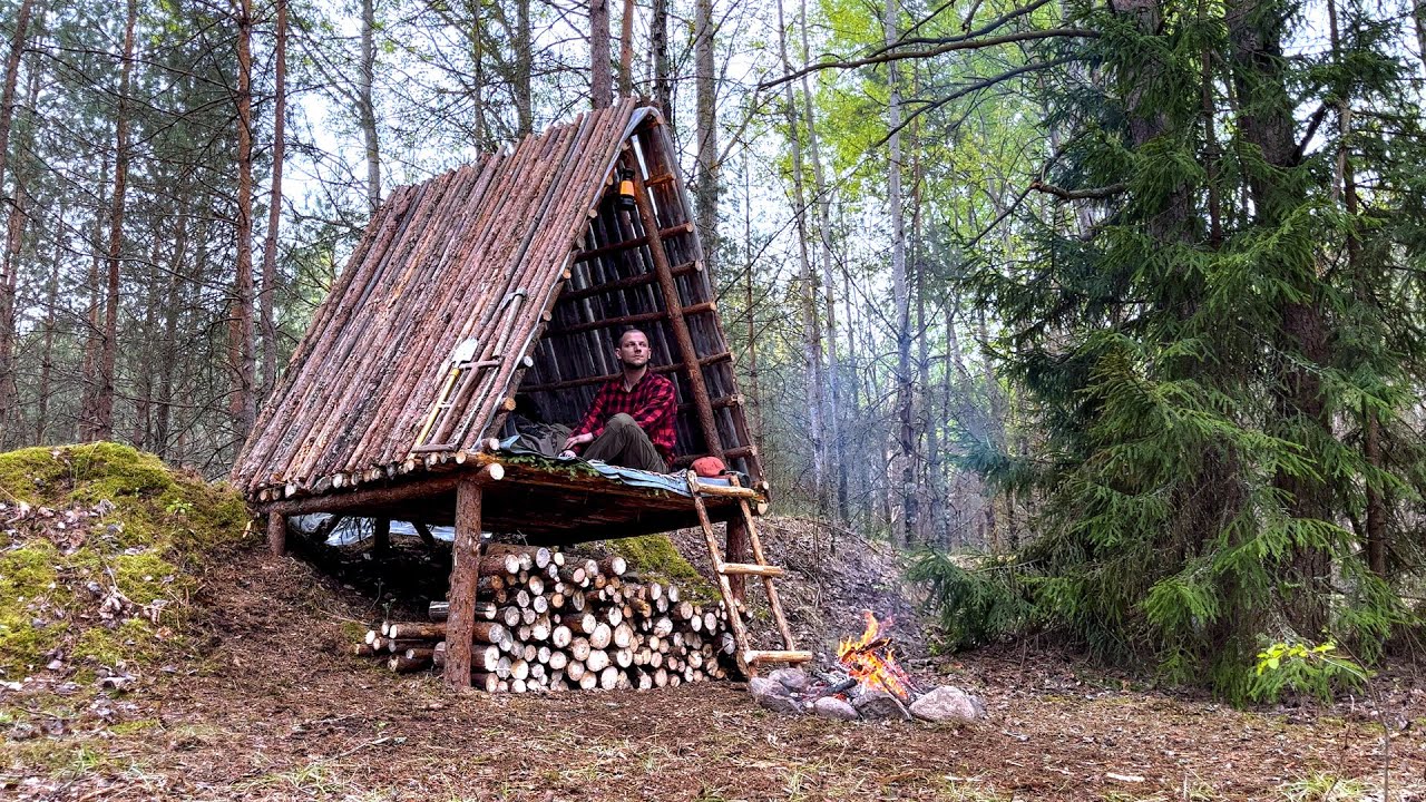 Three days in a wild forest! Building a Bushcraft to survive in the ...