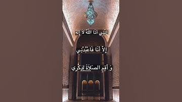 تلاوة خاشعة ،مسجد الجزائر الأعظم 🇩🇿 🤍