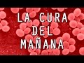 La CURA de la próxima pandemia