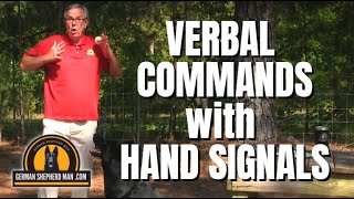 Using HAND SIGNALS | German Shepherd Puppy Training