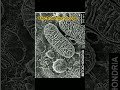 Electron microscopy of mitochondria #electron #microscope #mitochondria #cell #imaging #sem #shorts