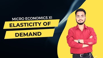 Elasticity of Demand (Sandeep Garg) | Class 11 Microeconomics Ch 4 |  Practical Problem Solved