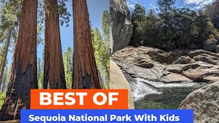 🆕 Sequoia National Park - BEST Things To Do In Sequoia National Park with Kids
