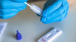 Verify | Yes, XE is new COVID-19 subvariant